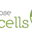 Логотип Aspose.Cells for Cloud