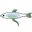 Логотип fish