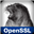 Логотип OpenSSL