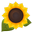 Логотип Sunflower