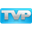 Логотип TVP Animation