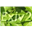 Логотип Exiv2