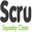 Логотип Scrubit