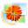 Логотип Windows Live Photo Gallery
