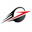 Логотип Fileburst