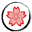 Логотип Zencherry Host