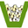 Логотип TorMovies.org