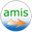 Логотип AMIS