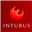 Логотип Intubus
