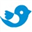 Логотип Campaign Bird