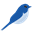 Логотип BlueTail.in