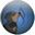 Логотип Musicdog