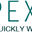 Логотип SPEXE