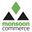 Логотип Monsoon Stone Edge