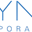 Логотип Ayna