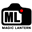 Логотип Magic Lantern