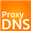 Логотип ProxyDNS