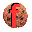 Логотип FlashCookiesView