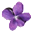 Логотип Violet UML Editor