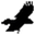 Логотип Data Crow