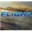 Логотип Microsoft Flight