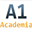 Логотип A1 Academia