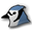 Логотип BlueJ