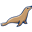 Логотип MariaDB