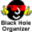 Логотип Black Hole Organizer