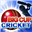 Логотип Big Cup Cricket