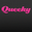 Логотип QueekyPaint