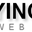 Логотип FlyingAnt