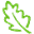 Логотип Leaf Networks
