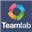 Логотип TeamLab