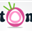 Логотип SoftOnion