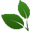 Логотип Tree.io