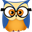 Логотип Stat Owl