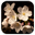 Логотип Cherry Blossom Wallpapers