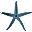 Логотип StarFisher