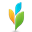 Логотип Projecturf
