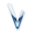 Логотип vLite