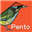 Логотип Pento