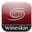 Логотип Wineskin Winery