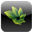 Логотип Photosynth