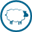 Логотип Rapid WordPress Cloner