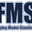 Логотип FMS Flying Model Simulator