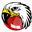 Логотип BlackHawk