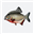 Логотип Piranhas